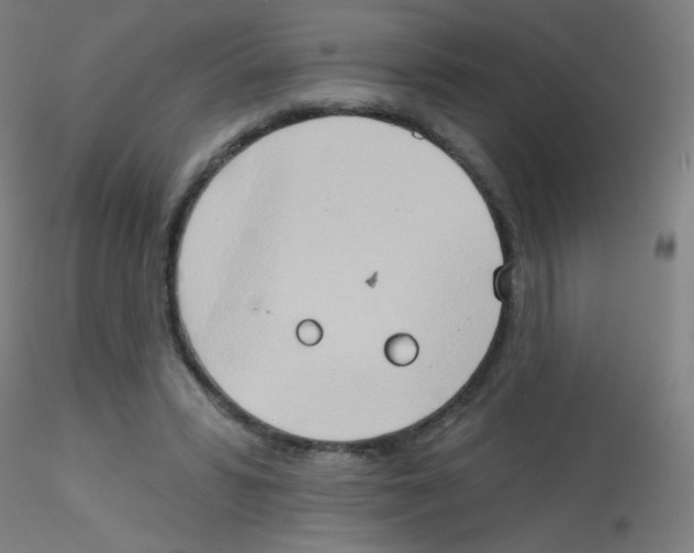 X0000115170399200911251338