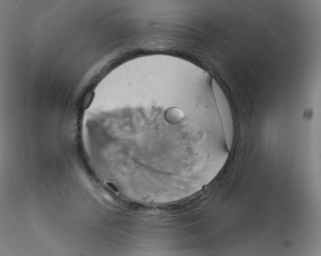 X0000115170400200911251338