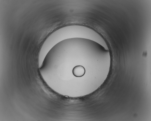 X0000115170401200911251338