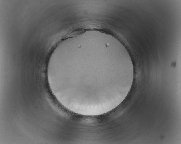 X0000115170402200911251338