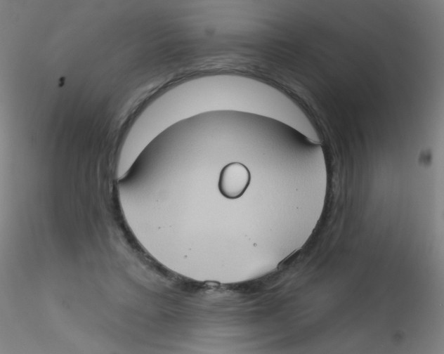 X0000115170403200911251338