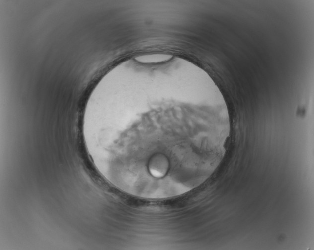 X0000115170404200911251338