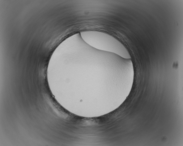 X0000115170405200911251338