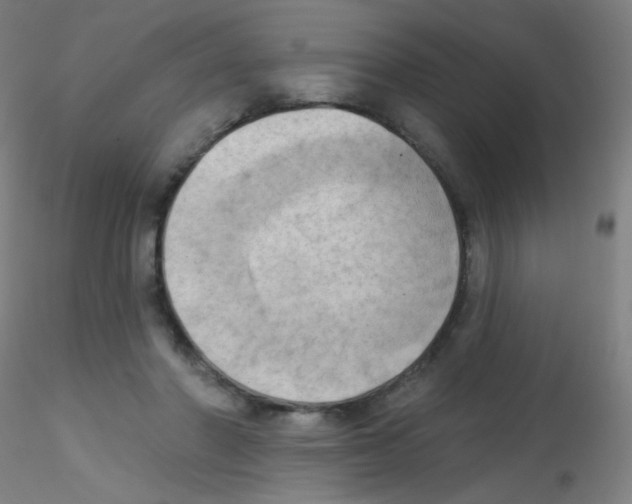 X0000115170406200911251338