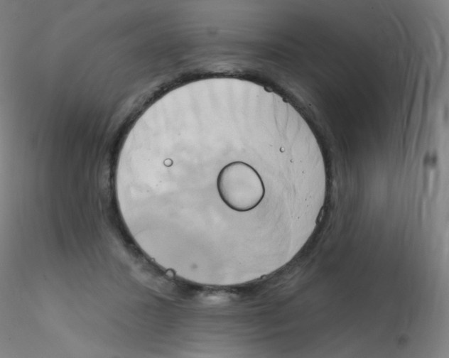 X0000115170407200911251338