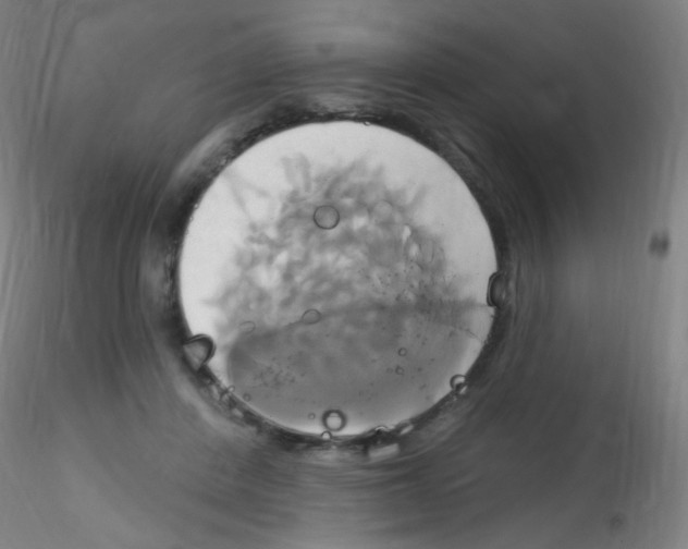 X0000115170408200911251338