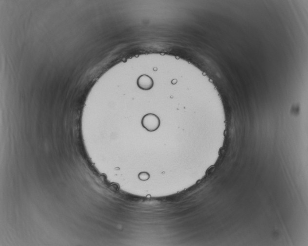 X0000115170409200911251338