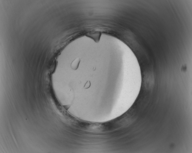 X0000115170410200911251338