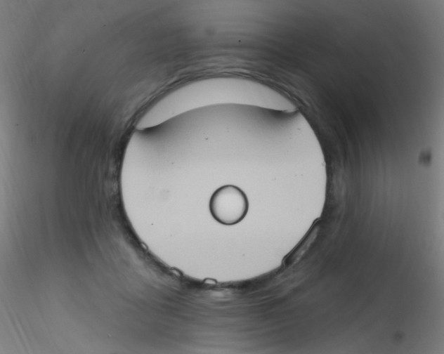 X0000115170411200911251338