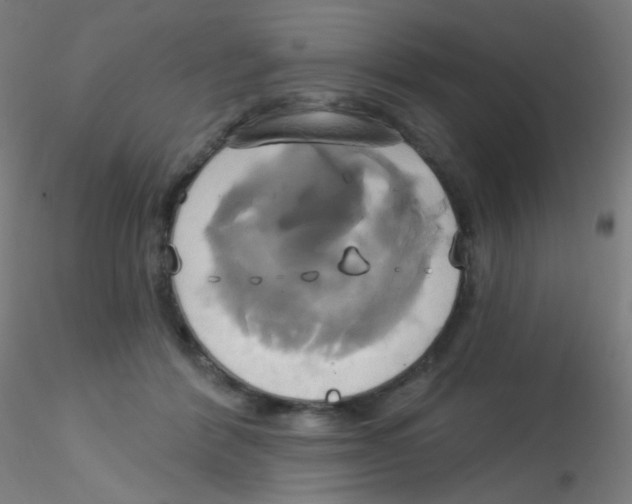 X0000115170412200911251338