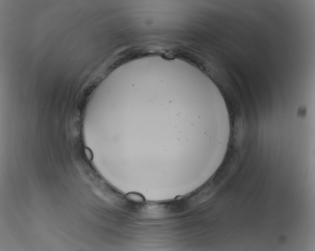 X0000115170413200911251338