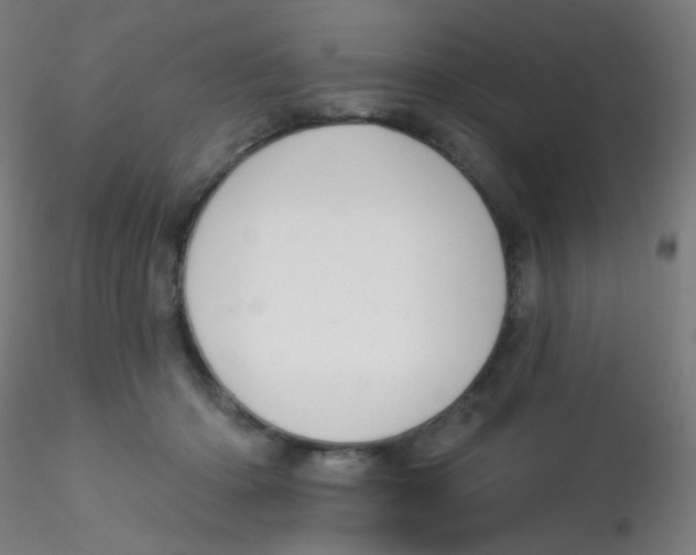 X0000115170414200911251338