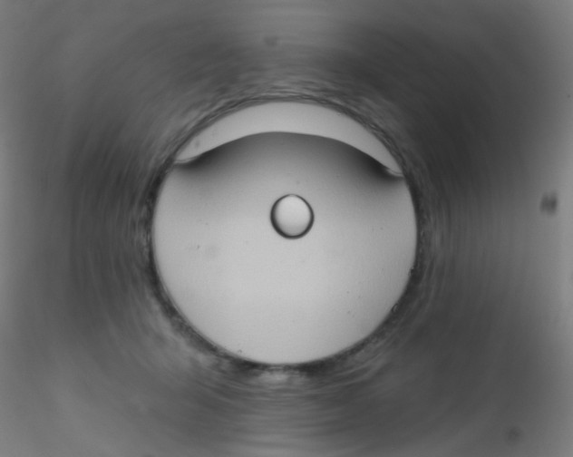 X0000115170415200911251338