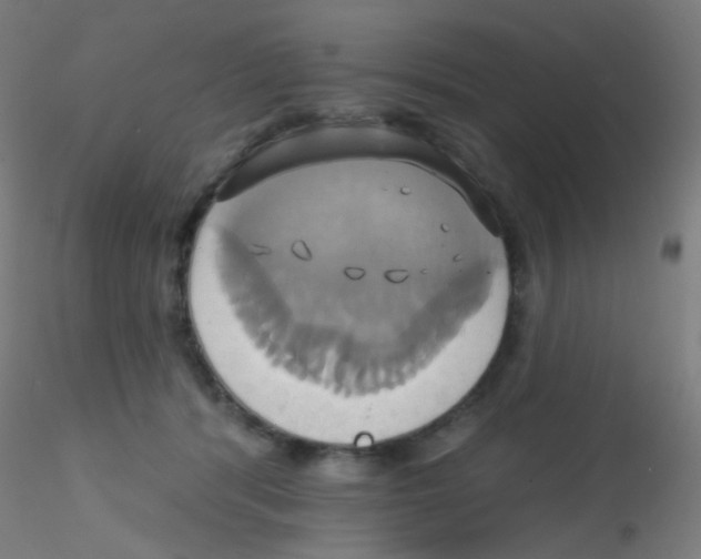 X0000115170416200911251338