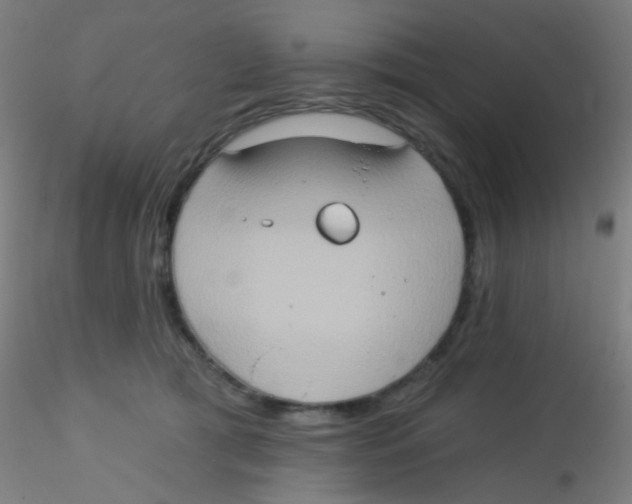 X0000115170417200911251338