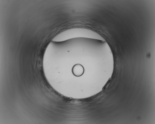 X0000115170419200911251338