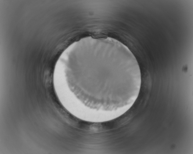 X0000115170420200911251338