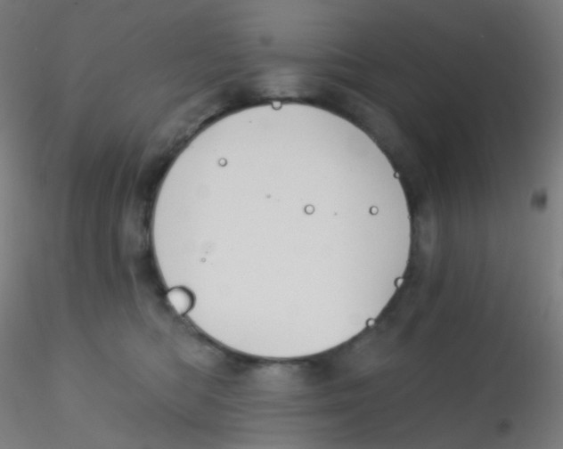 X0000115170422200911251338