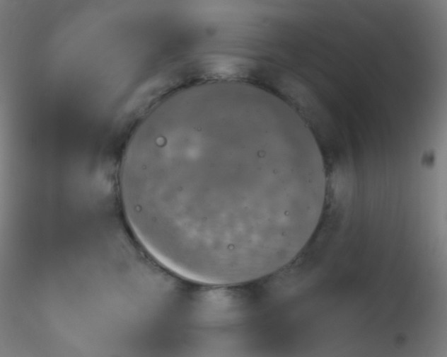 X0000115170423200911251338