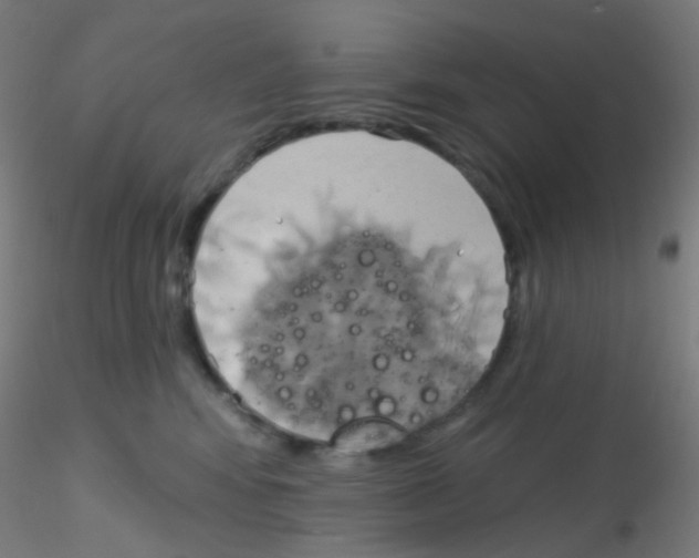 X0000115170424200911251338