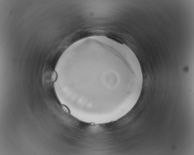 X0000115170425200911251338