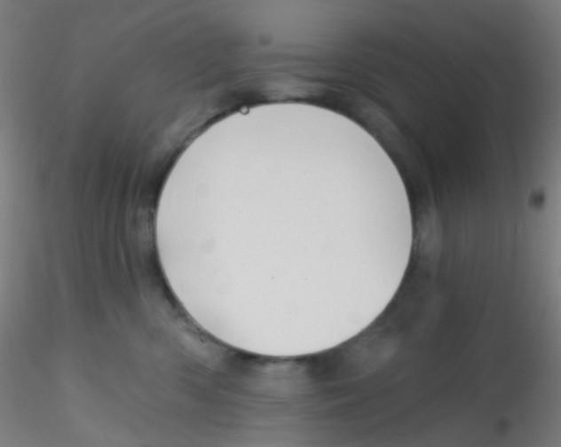 X0000115170426200911251338