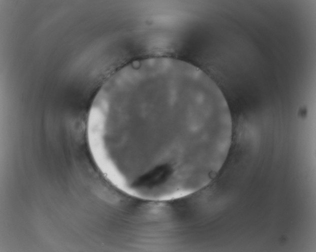 X0000115170427200911251338