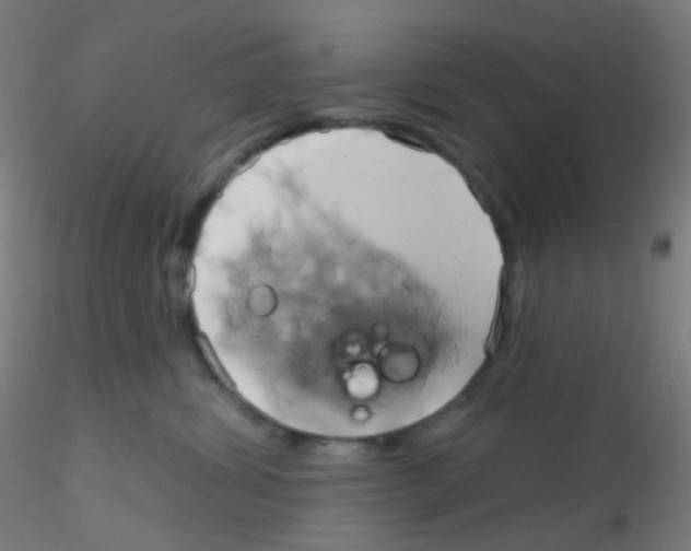 X0000115170428200911251338