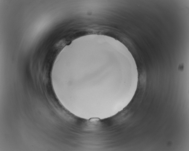 X0000115170429200911251338