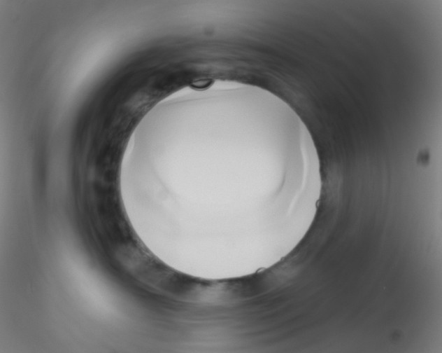 X0000115170430200911251338