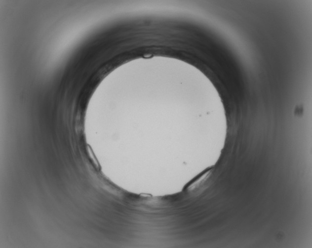 X0000115170431200911251338