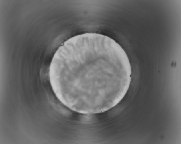 X0000115170432200911251338