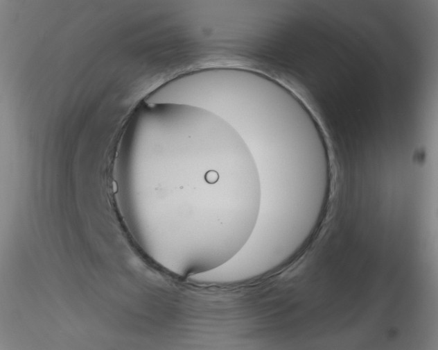 X0000115170433200911251337