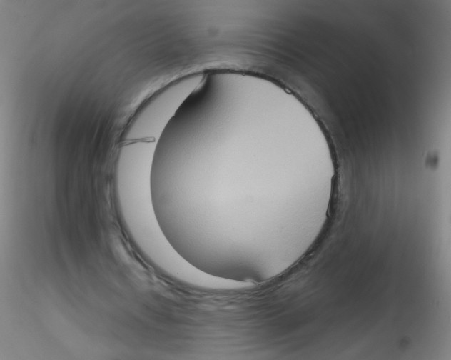 X0000115170434200911251337