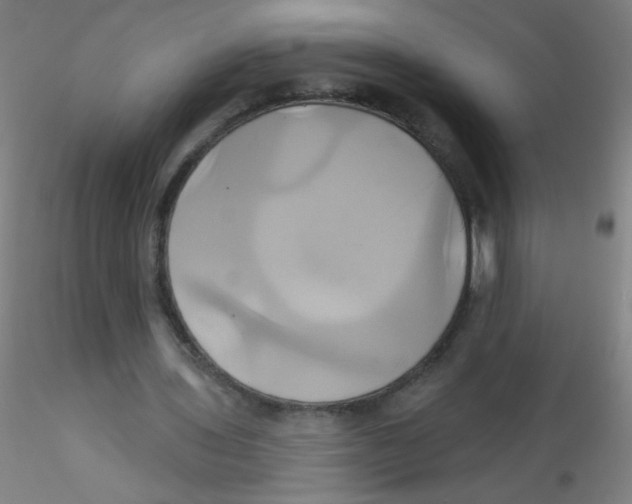 X0000115170435200911251337