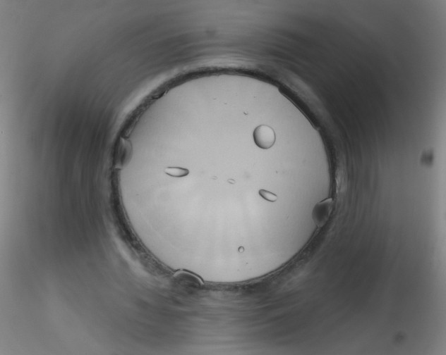 X0000115170436200911251337