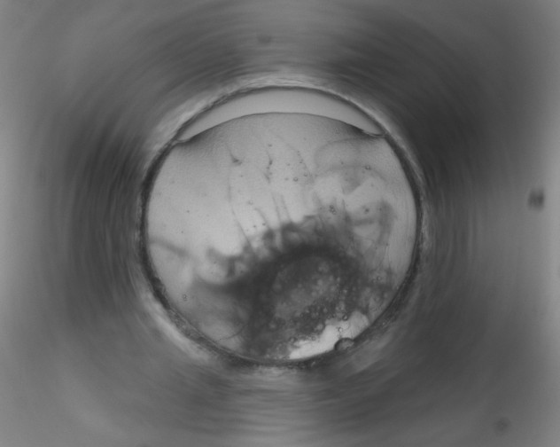 X0000115170437200911251337