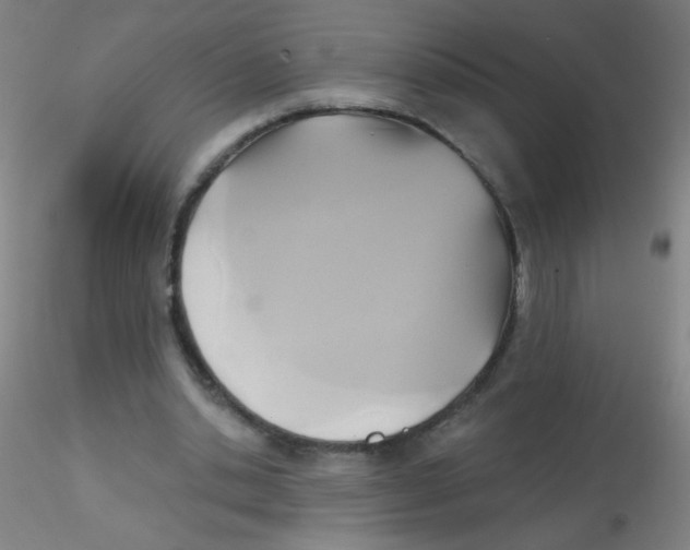 X0000115170438200911251337