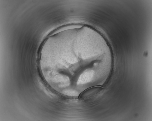 X0000115170439200911251337