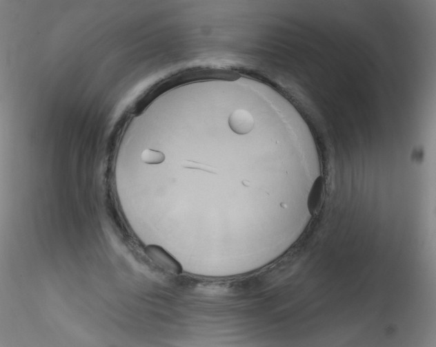 X0000115170440200911251337