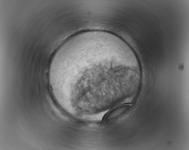 X0000115170441200911251337