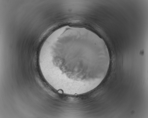 X0000115170442200911251337