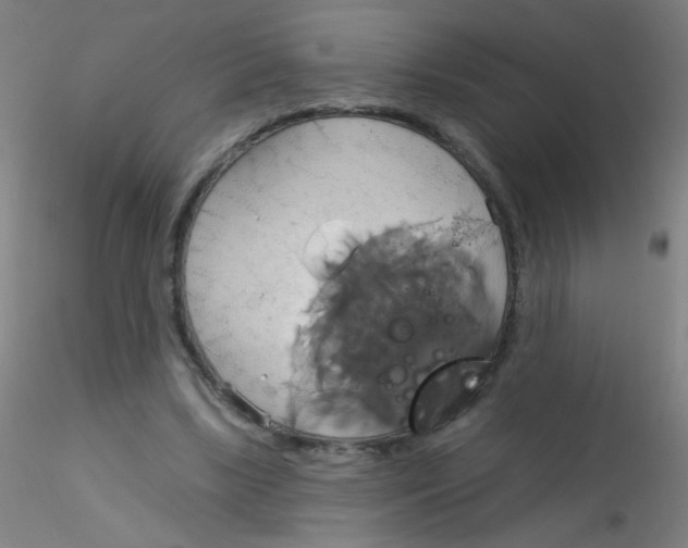 X0000115170443200911251337