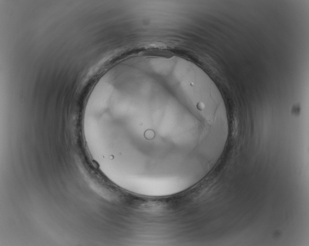 X0000115170444200911251337