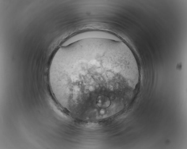 X0000115170445200911251337