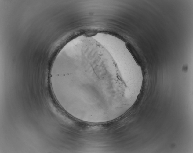 X0000115170446200911251337