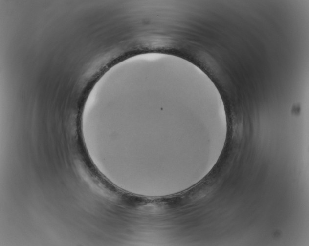 X0000115170447200911251338