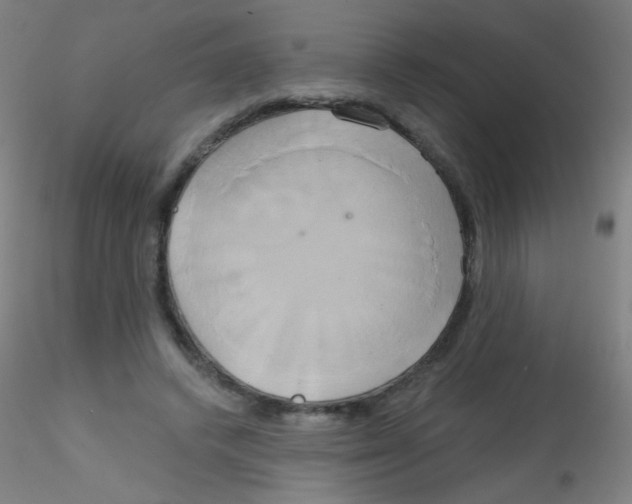 X0000115170448200911251338