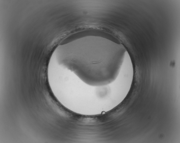 X0000115170449200911251338