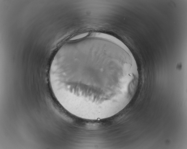 X0000115170450200911251338